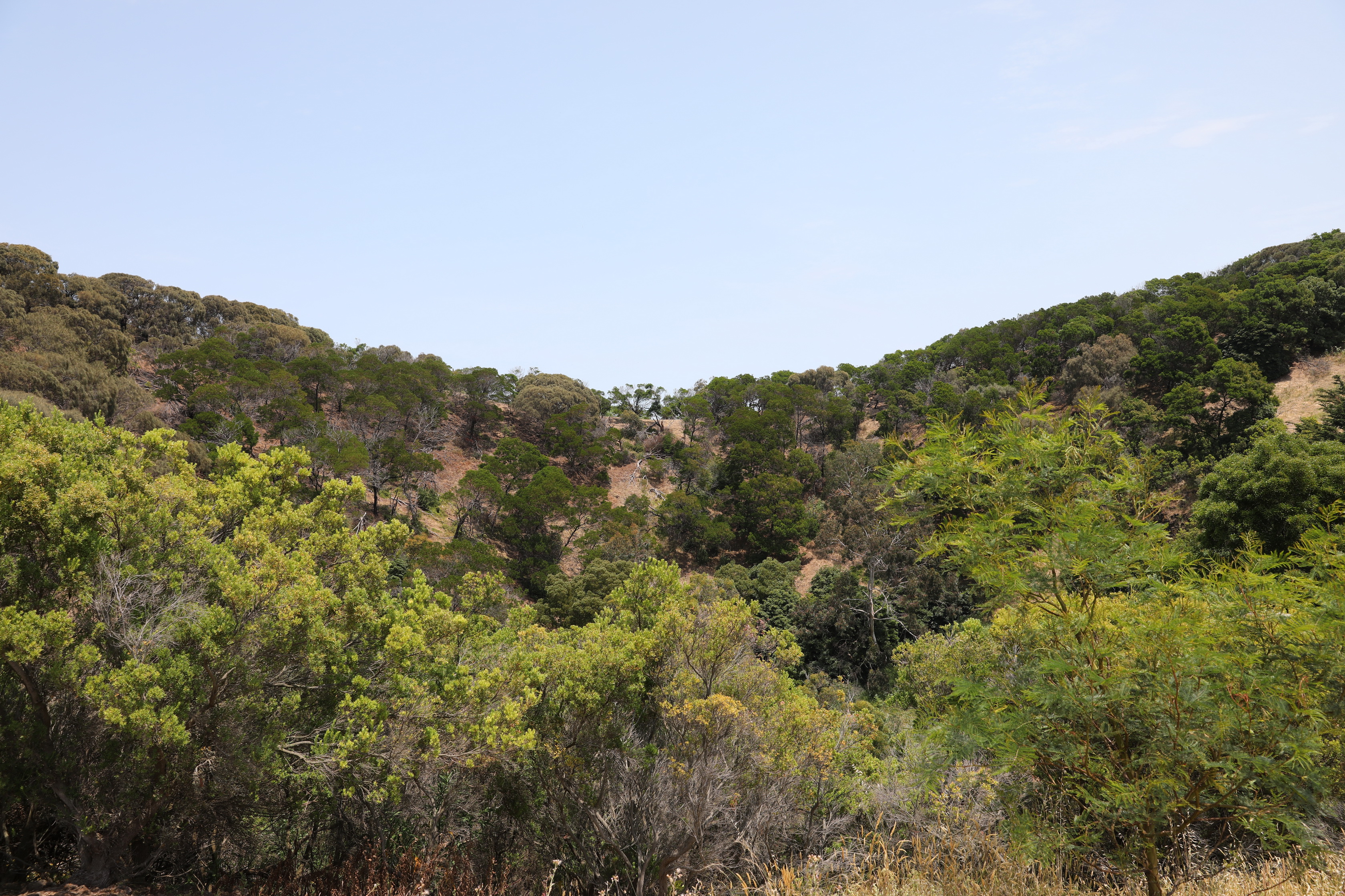 Tower Hill Wildlife Reserve